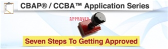 0_IIBA Applicaition Process