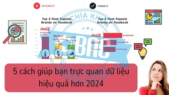 5 cách giúp bạn trực quan dữ liệu hiệu quả hơn 2024