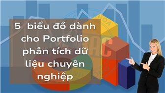 5 loại biểu đồ giúp xây dựng Portfolio phân tích dữ liệu chuyên nghiệp