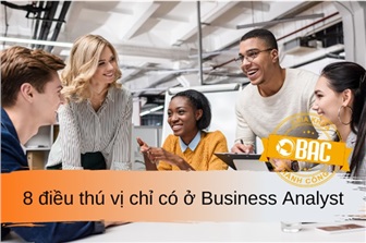 8 điều thú vị chỉ có ở Business Analyst