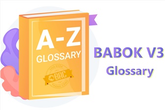 BABOK V3 Glossary