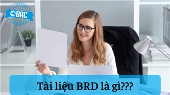 BRD là gì? Tầm quan trọng của BRD trong dự án