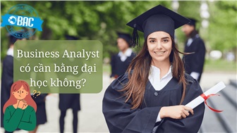 Business Analyst có cần bằng đại học không?