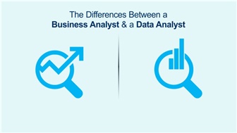 Business Analyst vs. Data Analyst