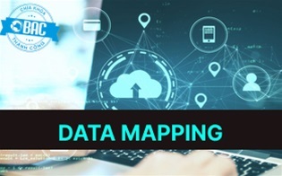 Data Mapping là gì? Tại sao Data Mapping lại hữu ích?