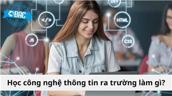 Học công nghệ thông tin ra trường làm gì?