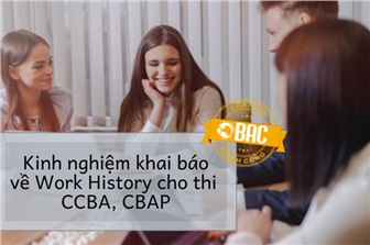 Kinh nghiệm khai báo về Work History cho kì thi CCBA, CBAP