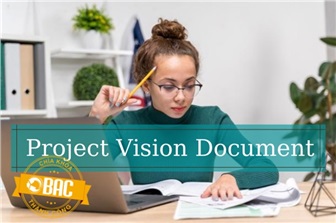 Project Vision Document