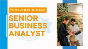 Vai trò và trách nhiệm của Senior Business Analyst (SBA)